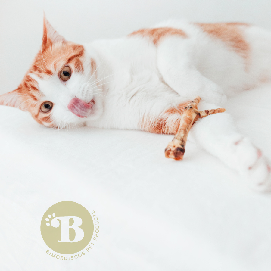 BIMORDISCOS Patas de pollo para perros y gatos, , large Imagen numero 4